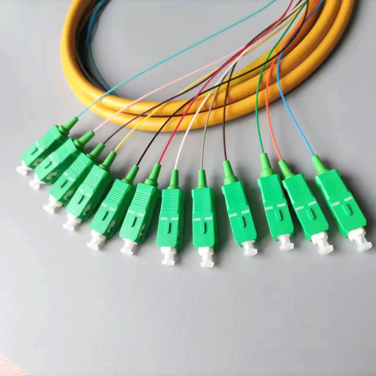 APC Oblique Octave Single Mode Bundle Pigtail 2m SC Optical Fiber Jumper 12-core Pigtail ODF Pigtail 12-core  Bundle Pigtail