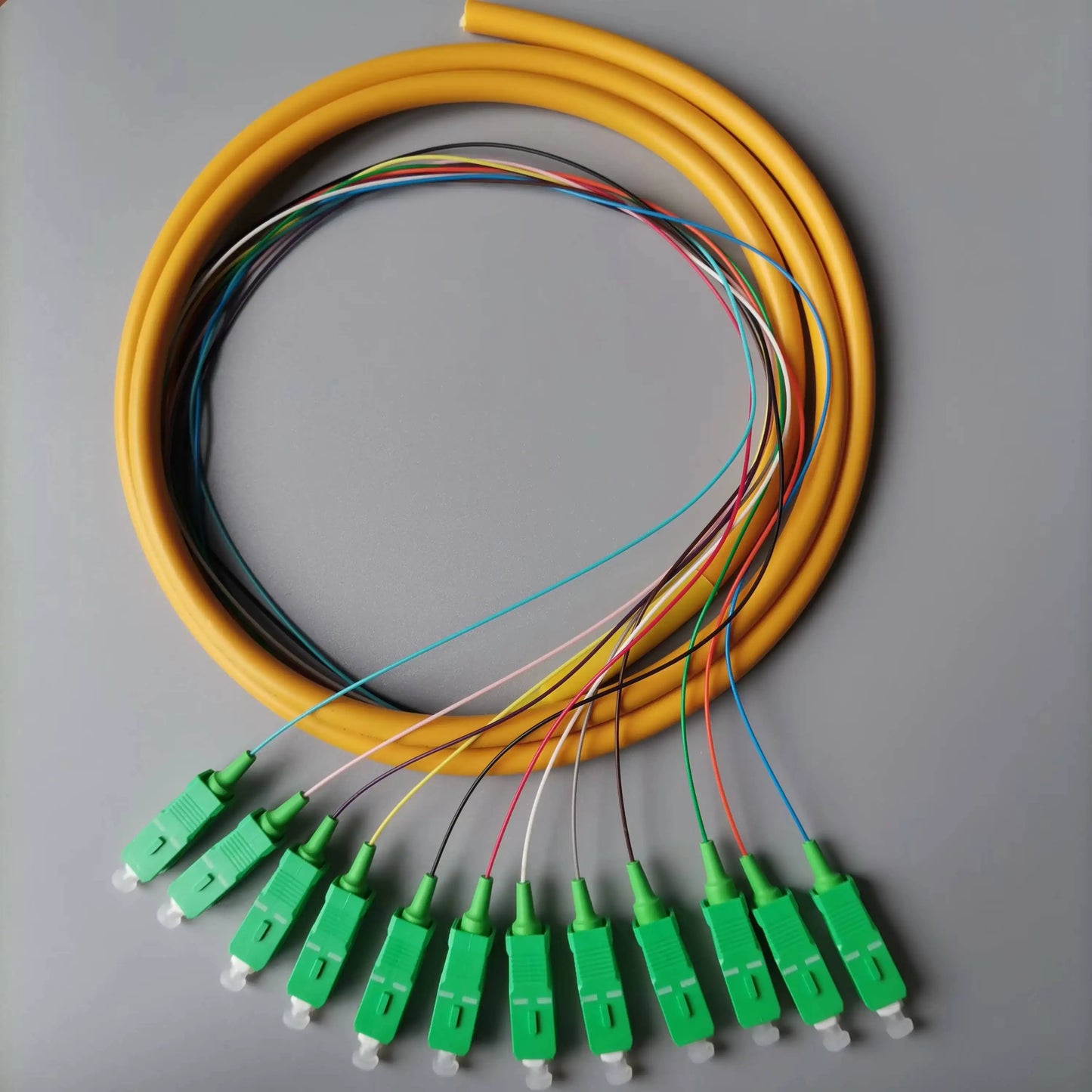 APC Oblique Octave Single Mode Bundle Pigtail 2m SC Optical Fiber Jumper 12-core Pigtail ODF Pigtail 12-core  Bundle Pigtail